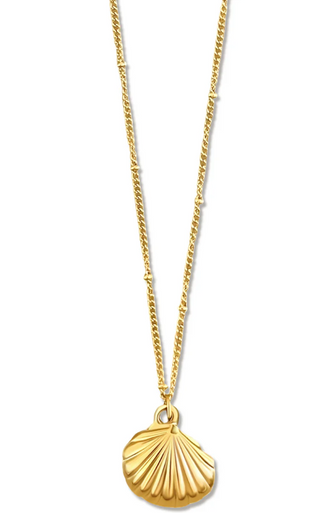 Georgina Shell Pendant Necklace