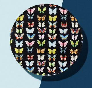 Monarch Coaster