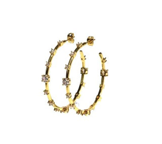WS - MAGIC Hoops