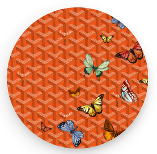 Fly Girl Coaster