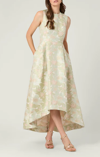 Daniella Dress- Champagne